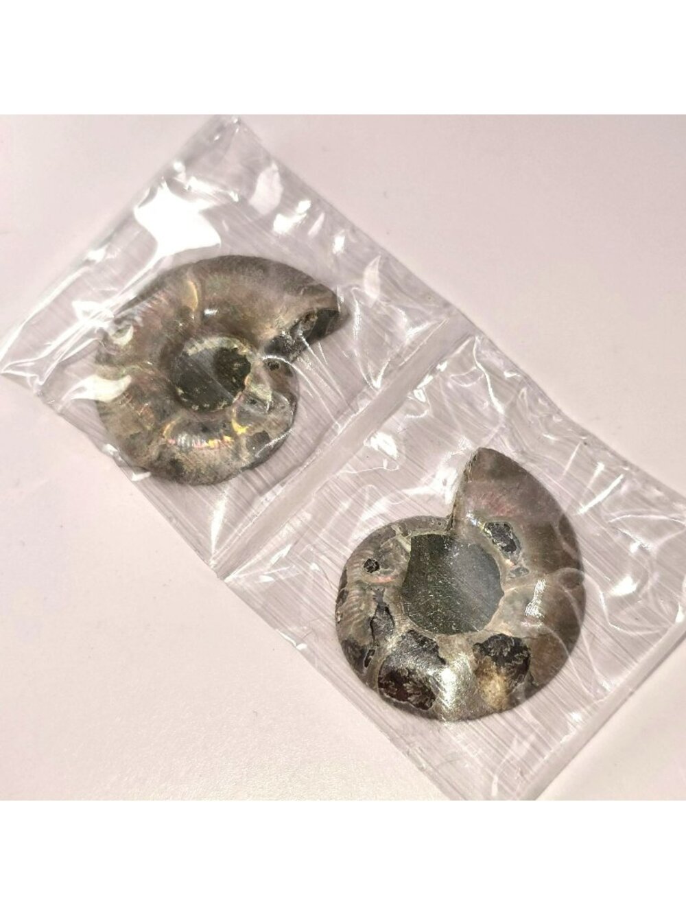 Opalized Ammonite Fossil Pair With Iridescent Polished Finish 2 Piece Set JH5013